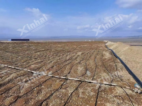 Drip-Irrigation-Leaching.JPG