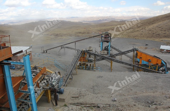 Fine-Disseminated-Gold-Flotation-Plant