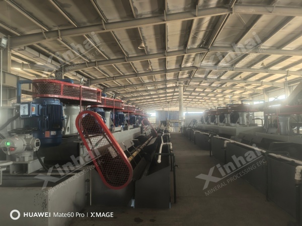 Iron-tailings-flotation