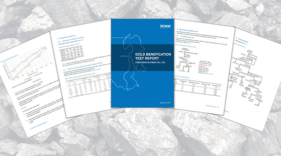 Mine-feasibility-study-report