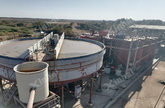 gold-thickener gold-thickener