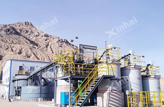 CIL-plant