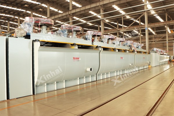 Flotation machine train in a mineral processing plant