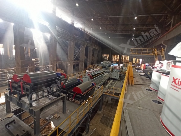 Magnetic-separation-and-flotation Magnetic-separation-and-flotation