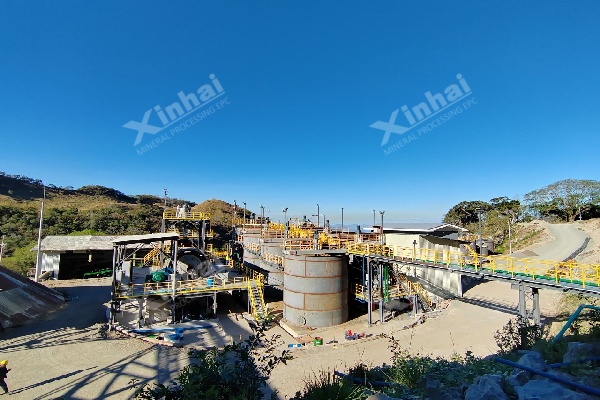 gold-cil-plant