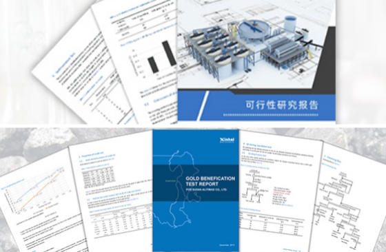 Feasibility-Study-Report